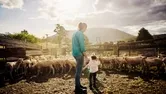 Property Category Links Block - Rural