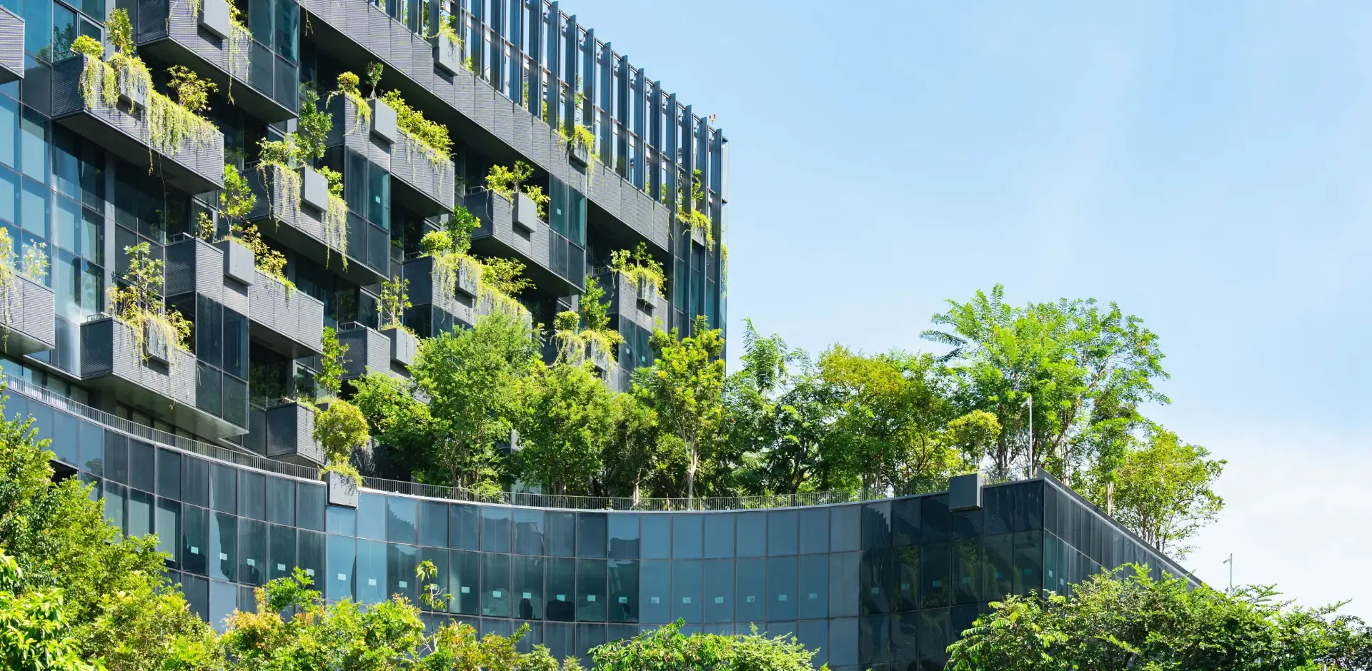 Sustainability service