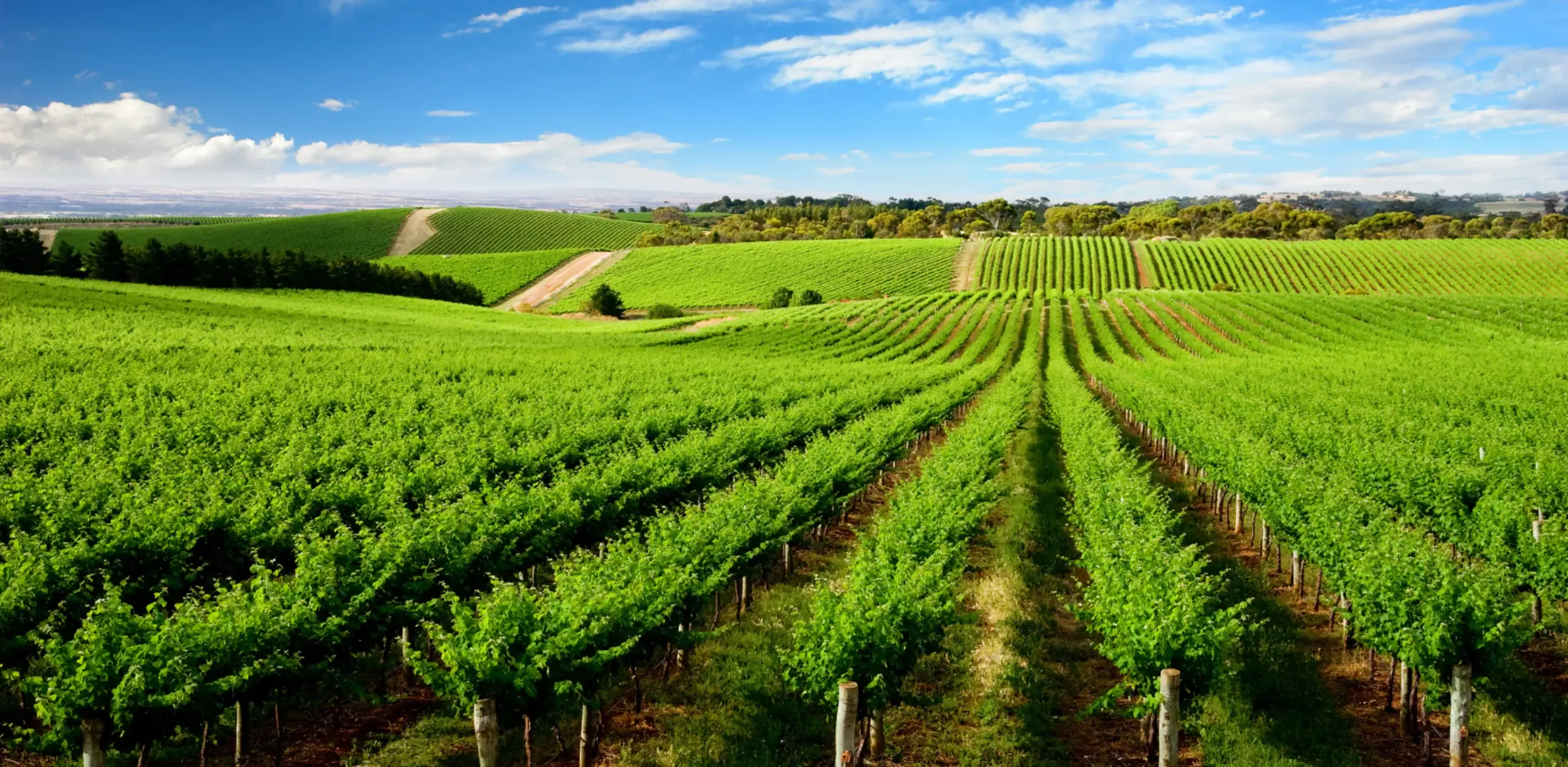 Agribusiness 
