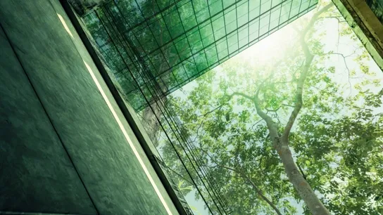 Sustainability