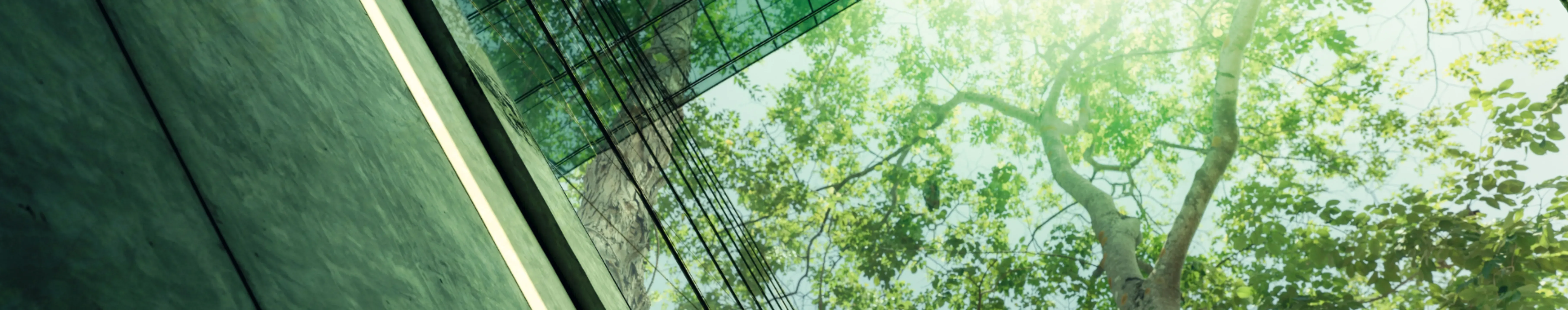 Sustainability