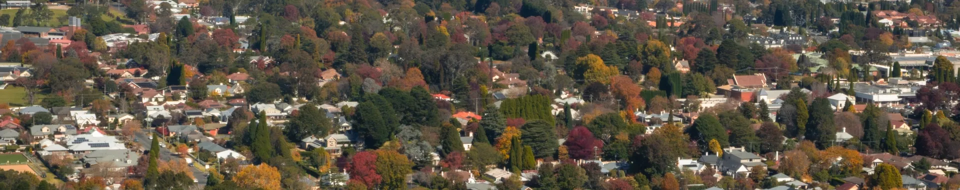 Office Southern Highlands